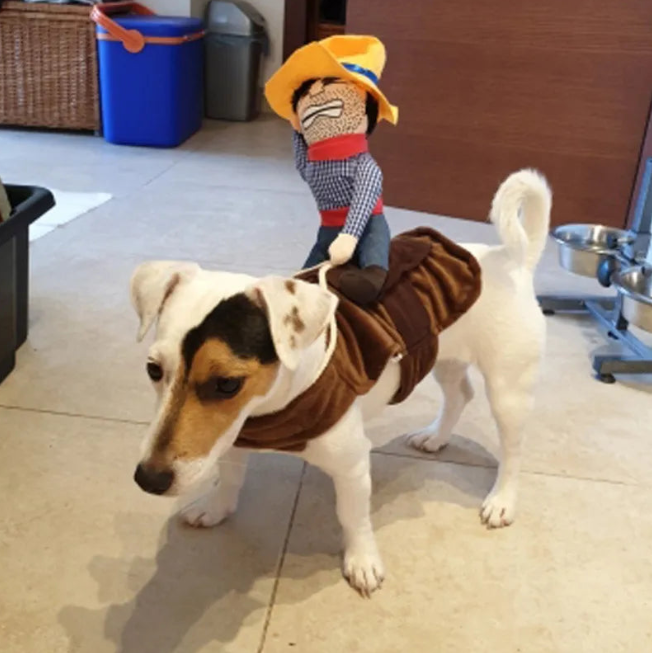 Halloween Cowboy Rider