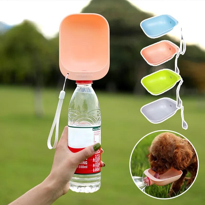 Portable Water Bottle