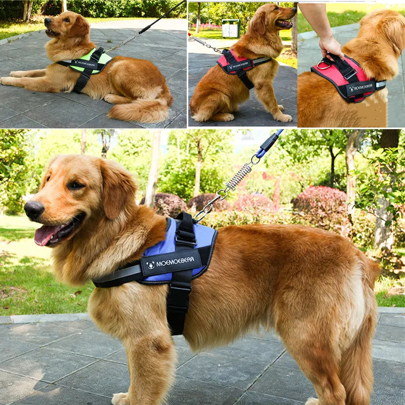 Pet Harness