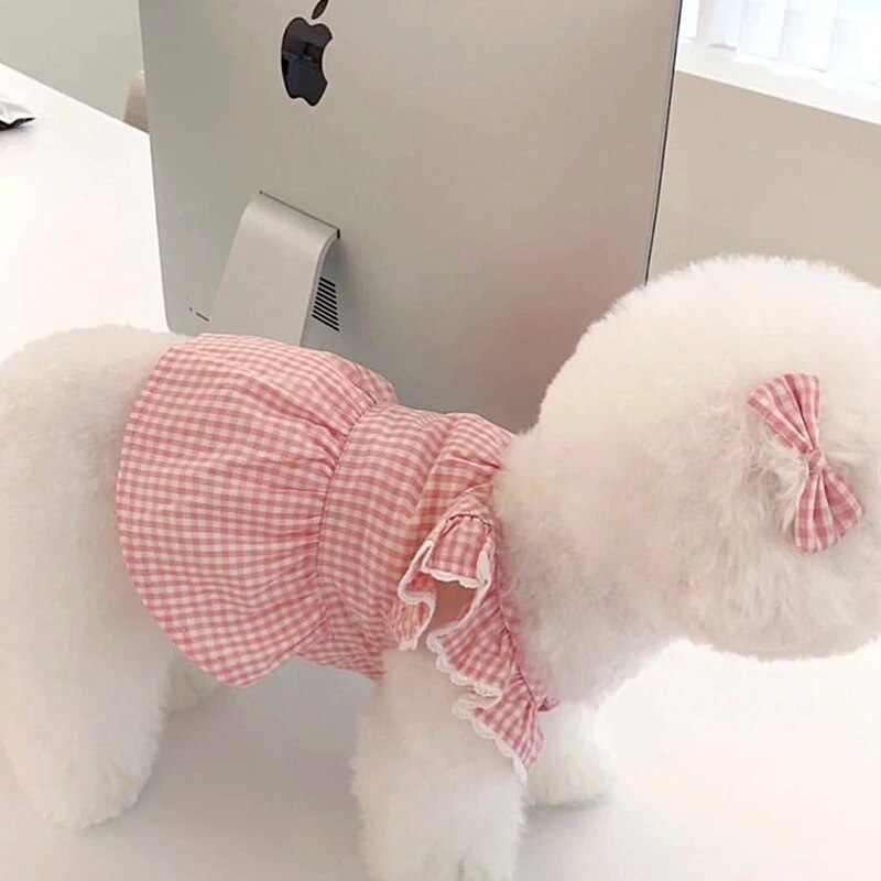 Princess Skirt Teddy