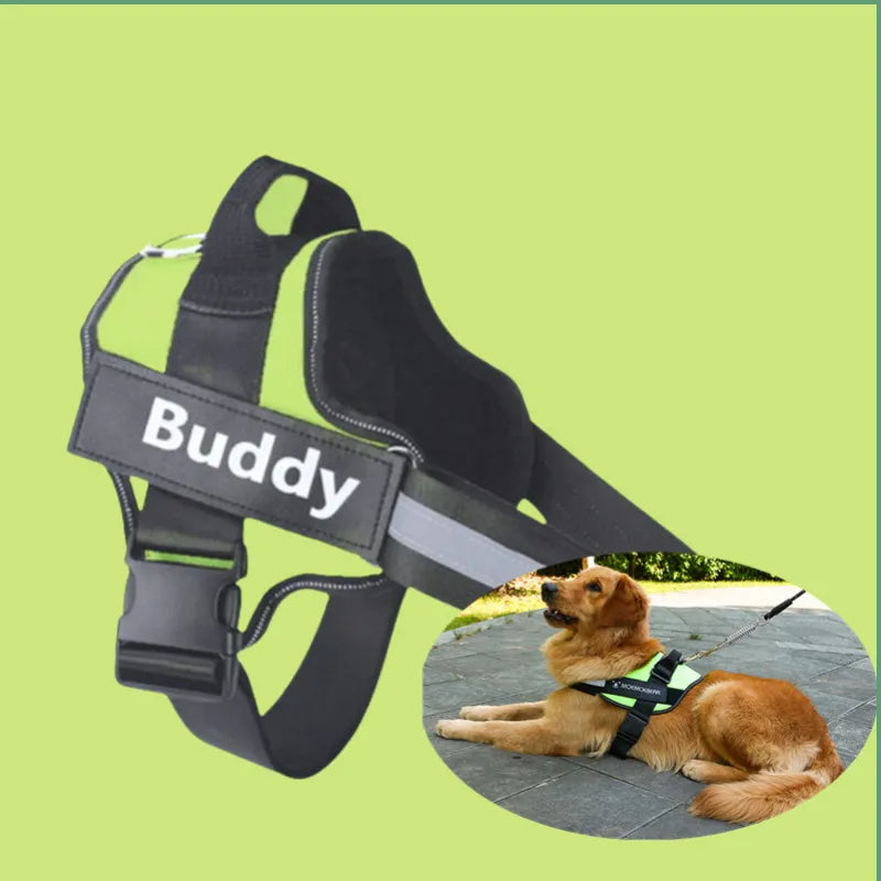 Pet Harness
