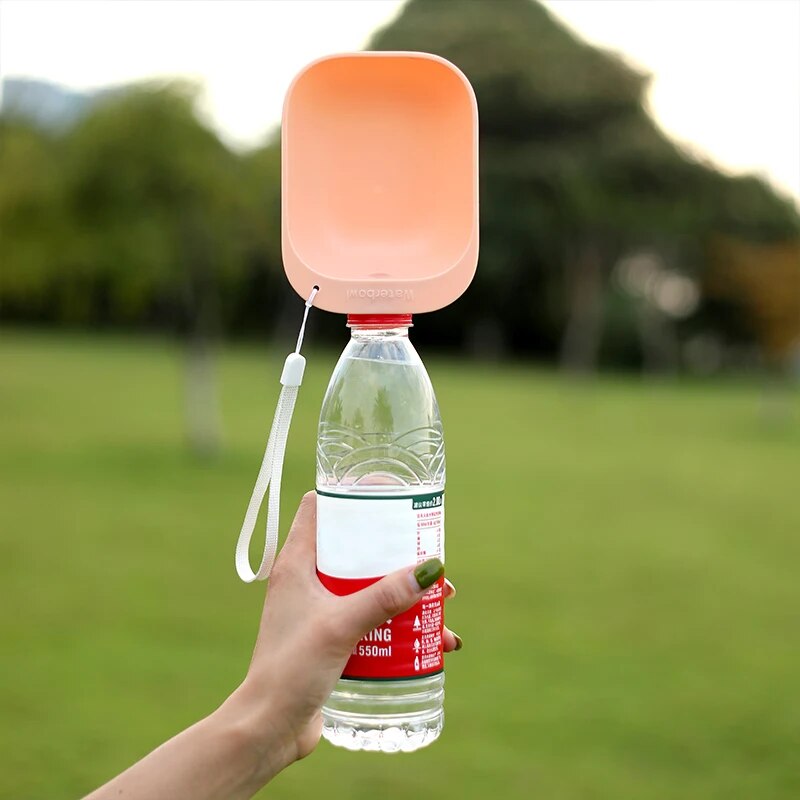 Portable Water Bottle