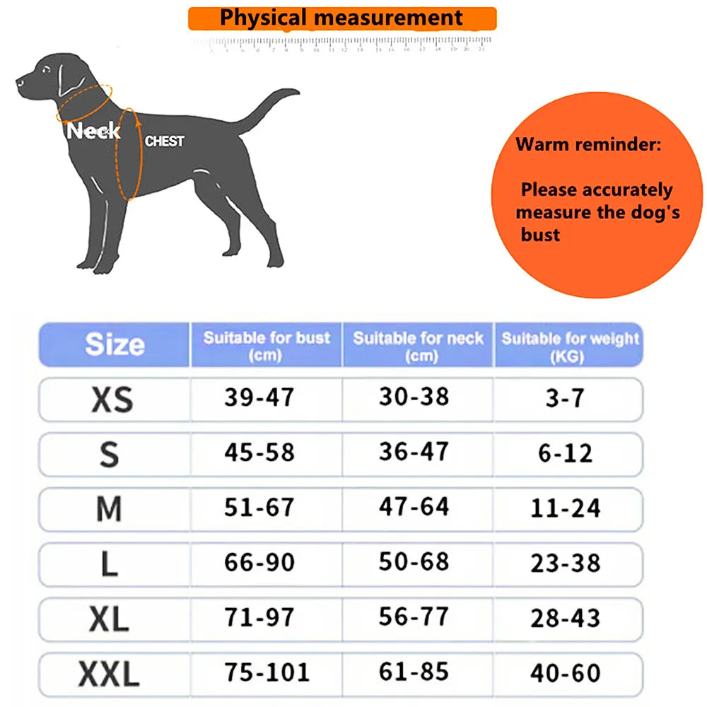 Pet Harness