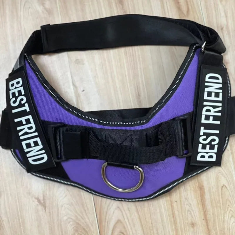 Pet Harness