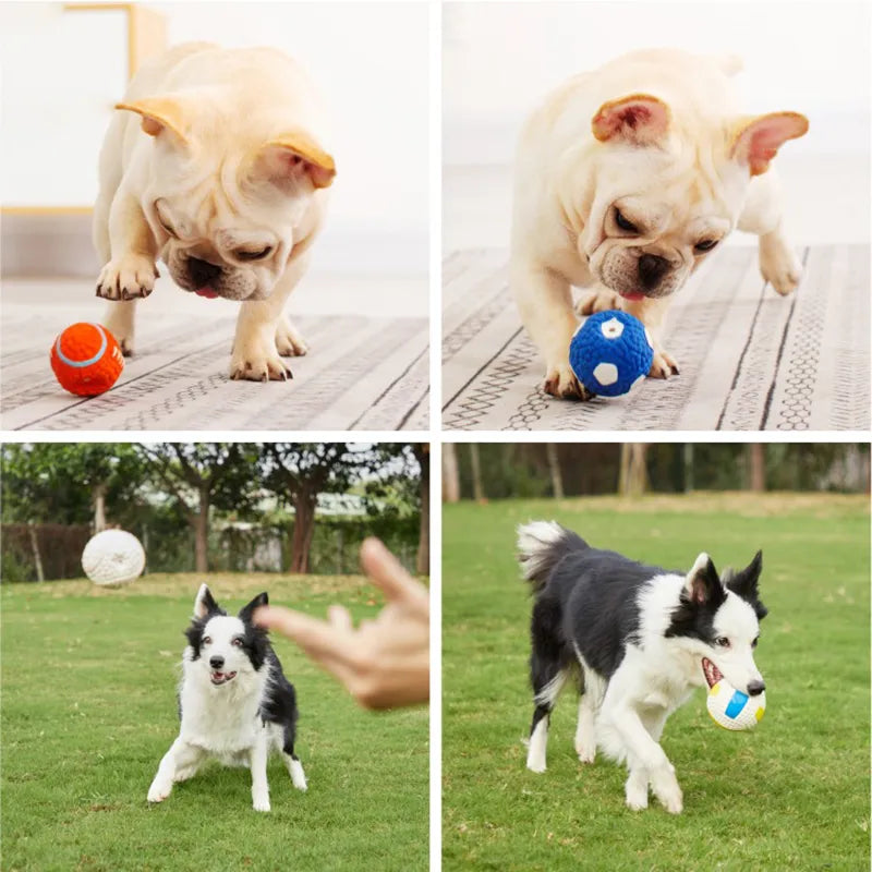 MegaPaw:Unbreakable toys