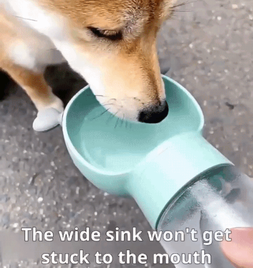 MegaPaw:Portable food and water bottle for dogs