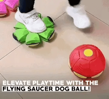 Flying Saucer Ball Dog Toy