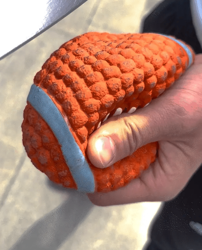MegaPaw:Unbreakable toys