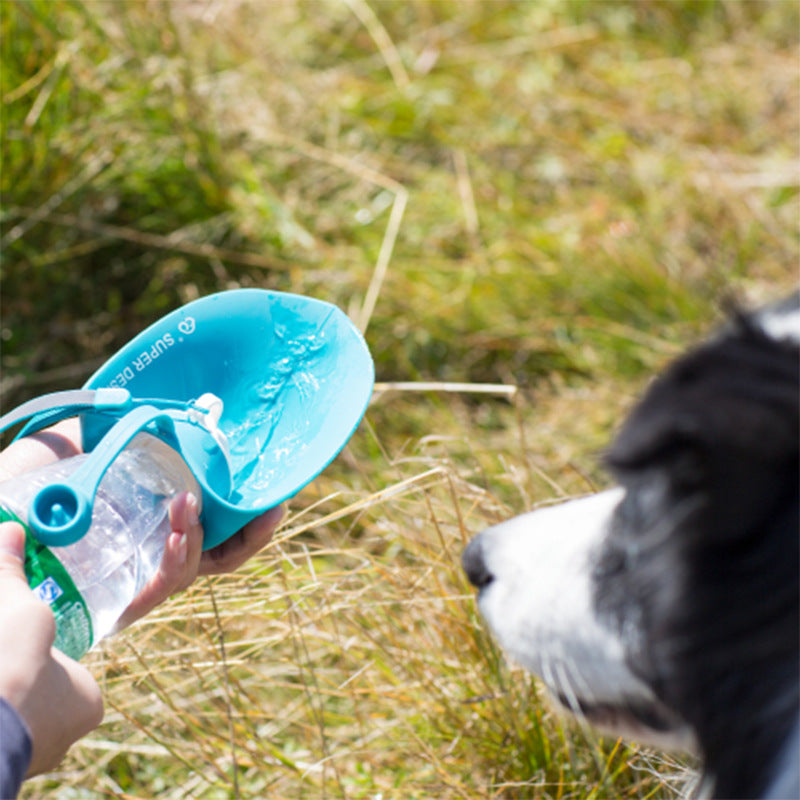 MegaPaw:Portable drinking cup