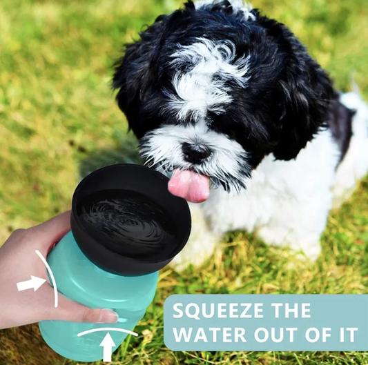 MegaPaw:Pro Water Bottle