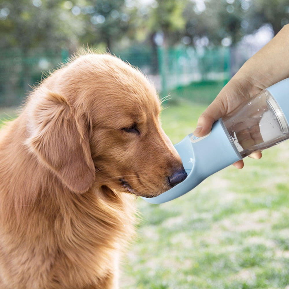 MegaPaw:Portable water bottle for pets