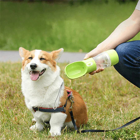 MegaPaw:Portable water bottle for pets