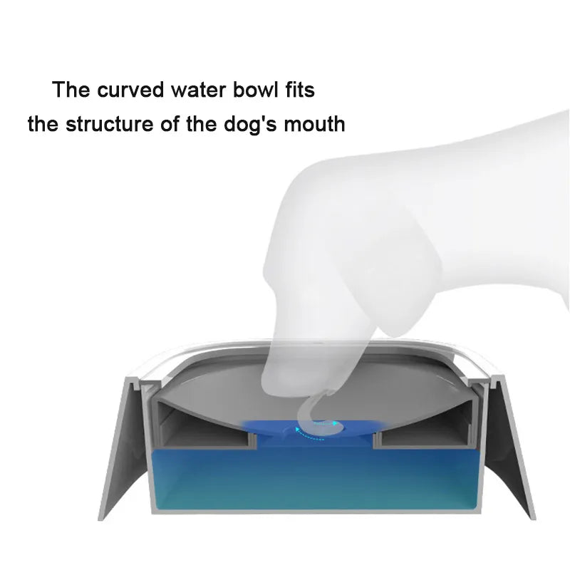 Dog bowl without drips