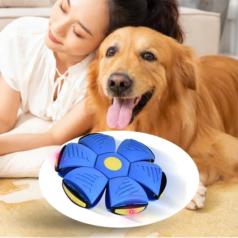 Flying Saucer Ball Dog Toy