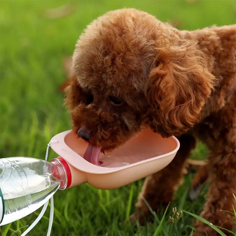 Portable Water Bottle