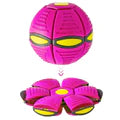 Flying Saucer Ball Dog Toy