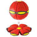 Flying Saucer Ball Dog Toy