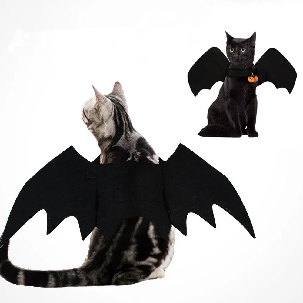 Halloween Pet costume