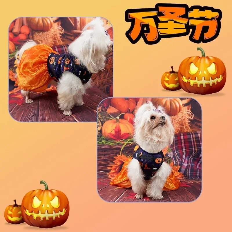 Halloween Dog Costume