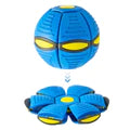 Flying Saucer Ball Dog Toy