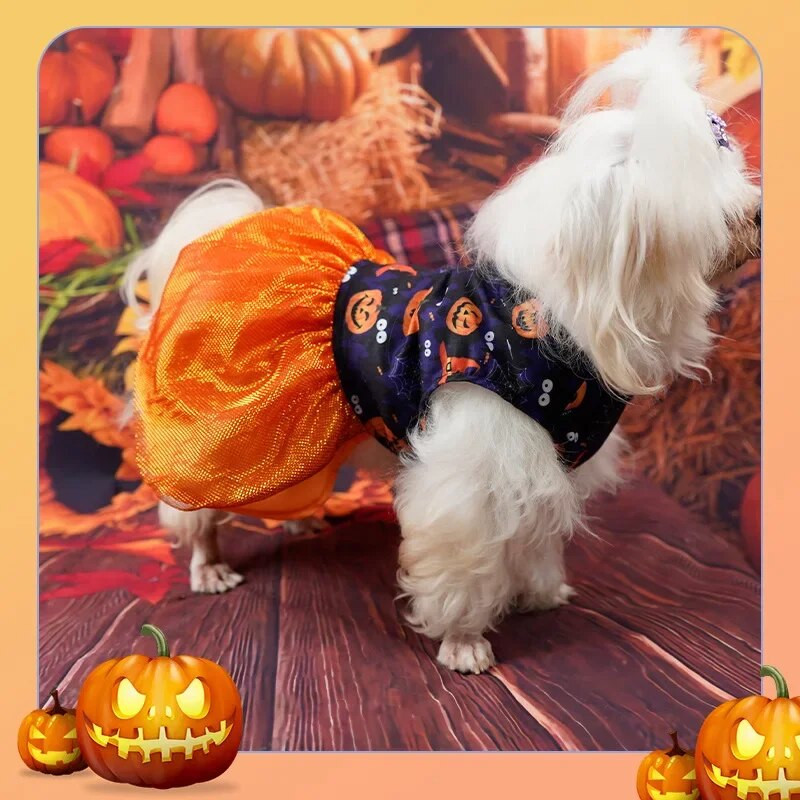 Halloween Dog Costume