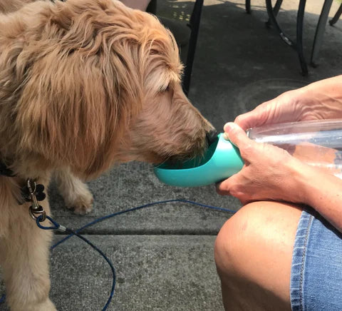 MegaPaw:Portable water bottle for pets